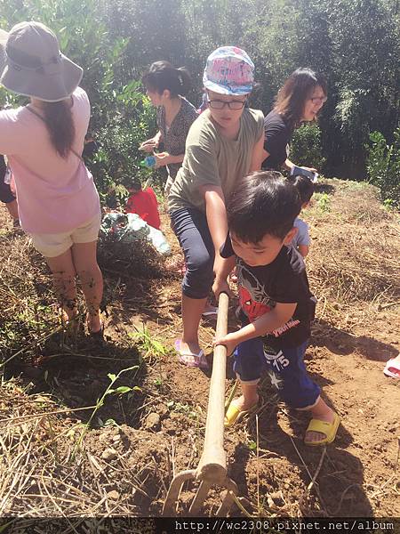 IMG_0919.JPG IMG_0919.JPG