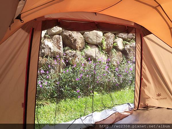 IMG_0922.JPG IMG_0922.JPG