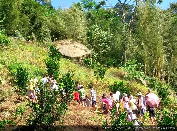 IMG_0942.JPG IMG_0942.JPG