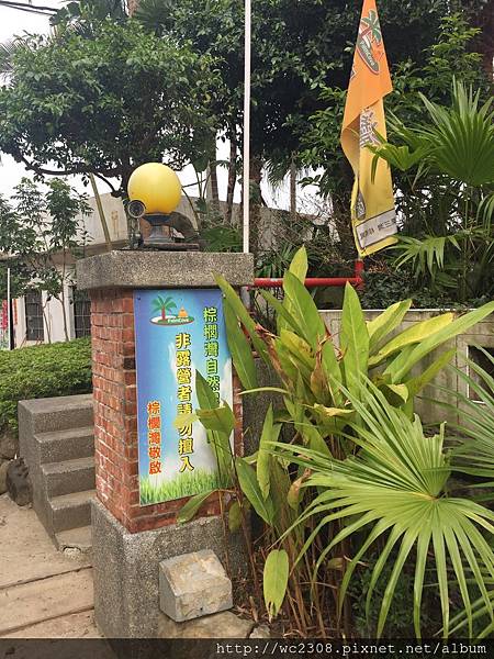 IMG_4124.JPG IMG_4124.JPG