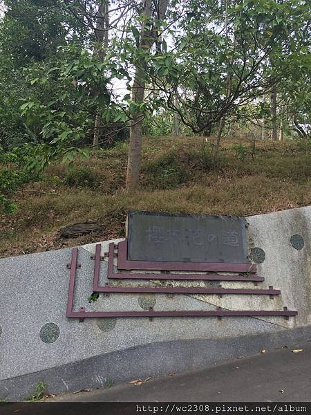 IMG_4128.JPG IMG_4128.JPG