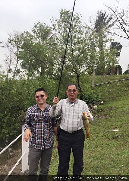 IMG_4223.JPG IMG_4223.JPG