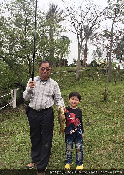 IMG_4224.JPG IMG_4224.JPG