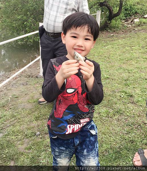 IMG_4225.JPG IMG_4225.JPG