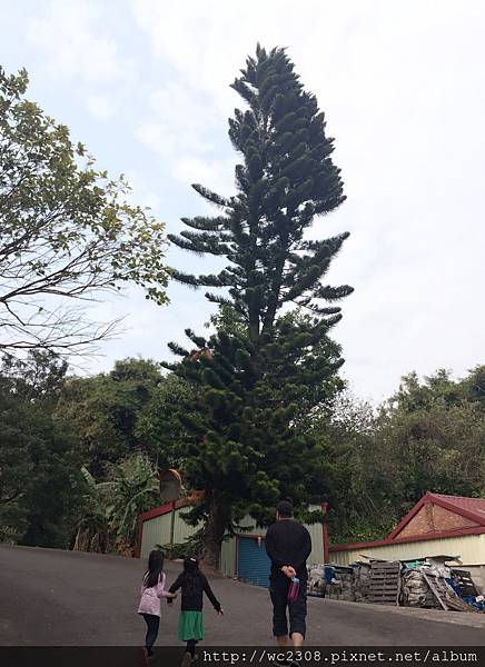 IMG_4226.JPG IMG_4226.JPG