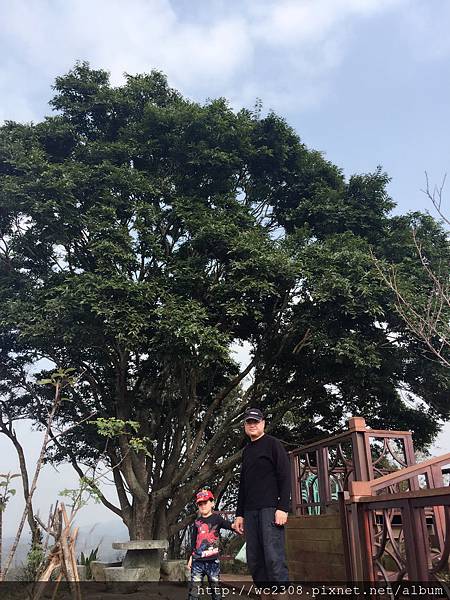 IMG_4230.JPG IMG_4230.JPG