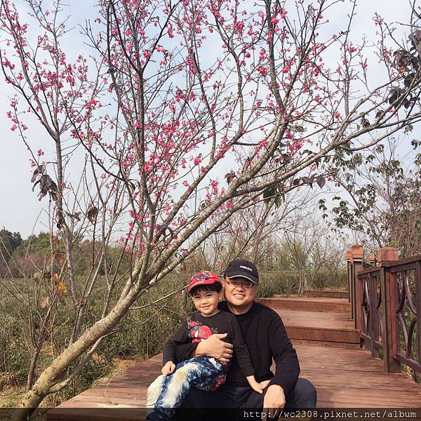 IMG_4229.JPG IMG_4229.JPG