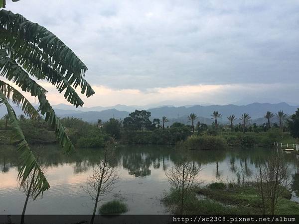 IMG_4245.JPG IMG_4245.JPG