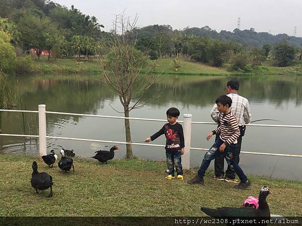 IMG_4100.JPG IMG_4100.JPG