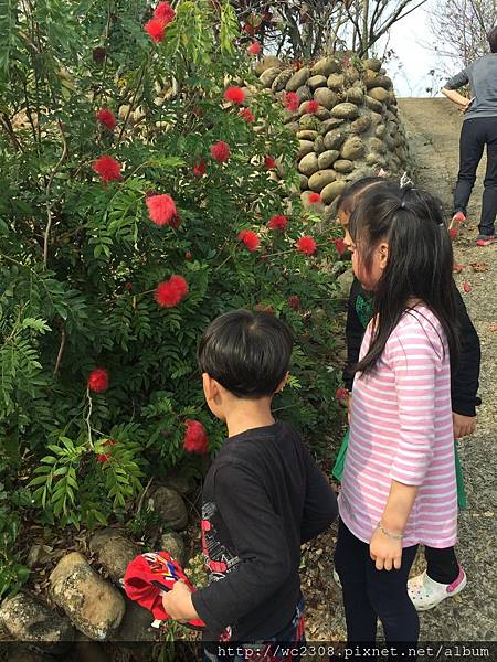 IMG_4151.JPG IMG_4151.JPG