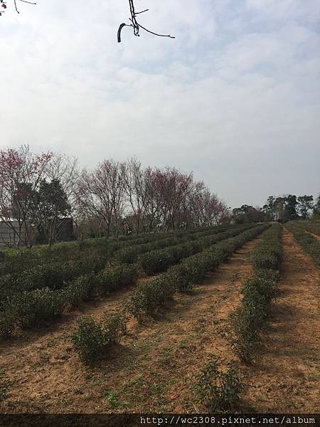 IMG_4152.JPG IMG_4152.JPG