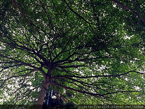 IMG_6094.JPG IMG_6094.JPG