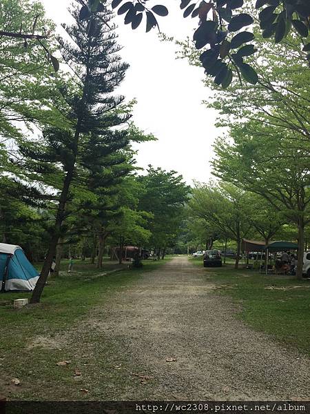 IMG_5918.JPG IMG_5918.JPG