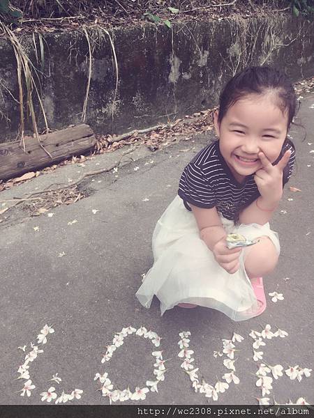 IMG_6087.JPG IMG_6087.JPG