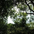 IMG_2582_大小.JPG