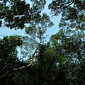IMG_2605_大小.JPG