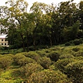 IMG_2741_大小.jpg