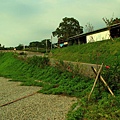 IMG_2869_大小.jpg