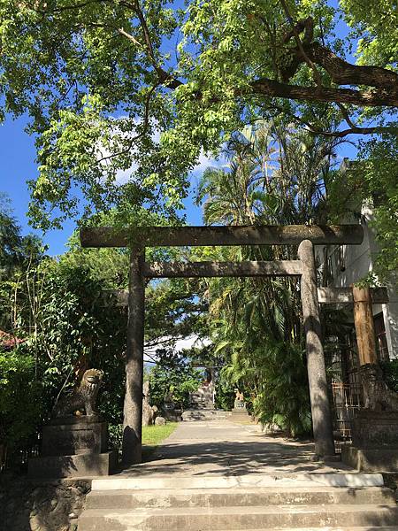 IMG_8130.JPG IMG_8130.JPG