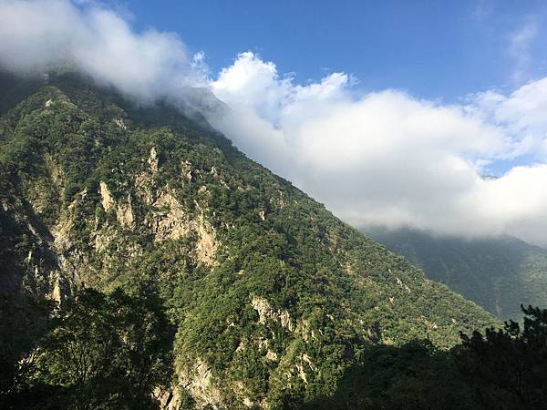 IMG_8267.JPG IMG_8267.JPG