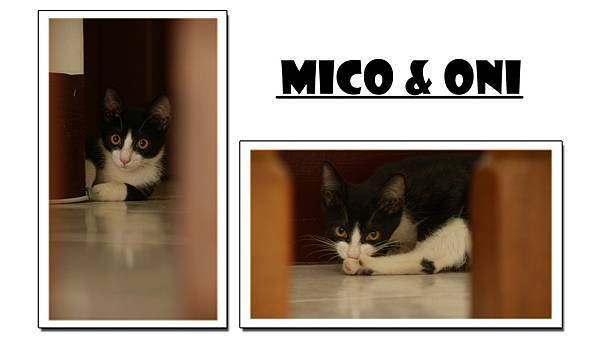 mico&oni-2.jpg