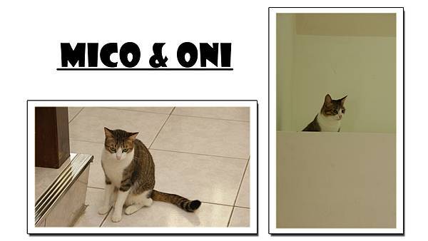 mico&oni-3.jpg