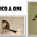 mico&oni-3.jpg