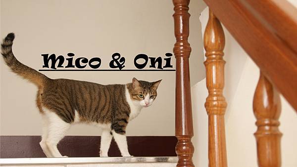 mico&oni-10.jpg