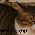 mico&oni-13.jpg