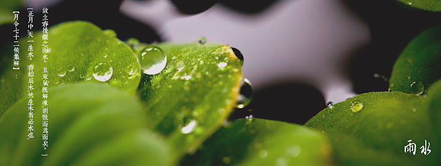 雨水