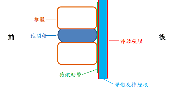 肩頸痠痛 膏肓痛 手臂痛 你可能得到椎間盤突出了 物治貝克的國度 一位物理治療師的真心話與平凡生活 痞客邦 肩頸痠痛 膏肓痛 手臂痛 你可能得到椎間盤突出了 物治貝克的國度 一位物理治療師的真心話與平凡生活 痞客邦