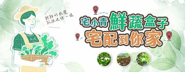 宅小青-主banner-02