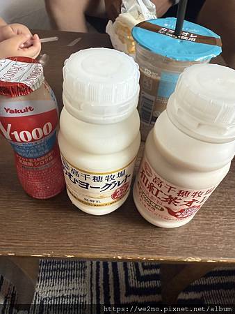 日本京都大阪六天五夜自由行 （關西自由行） 第三天｜大阪城天