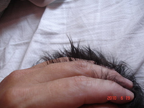 胎毛筆---胎毛頭髮太少太短問題