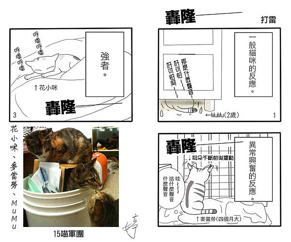 打雷三喵反應組合