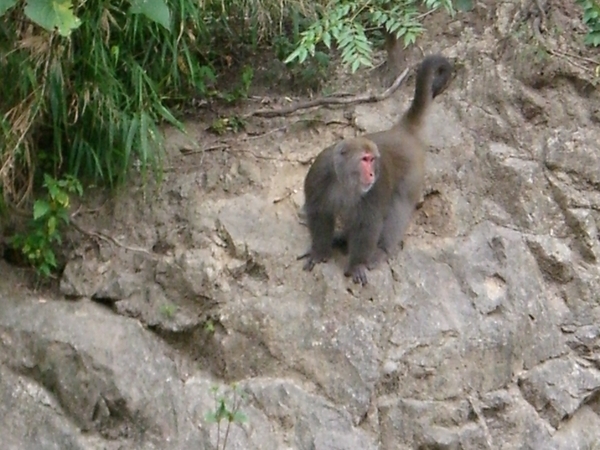 登仙橋