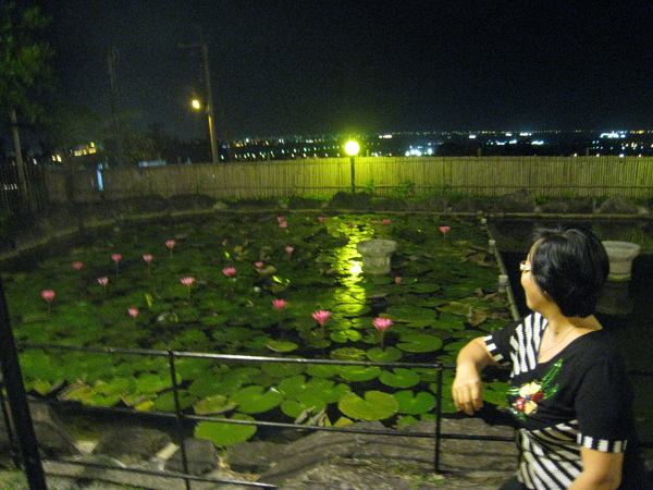 望園泡茶去