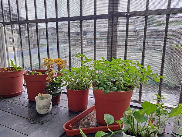 改變健康從今天開始