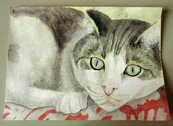 貓咪 (水彩) cat in watercolor
