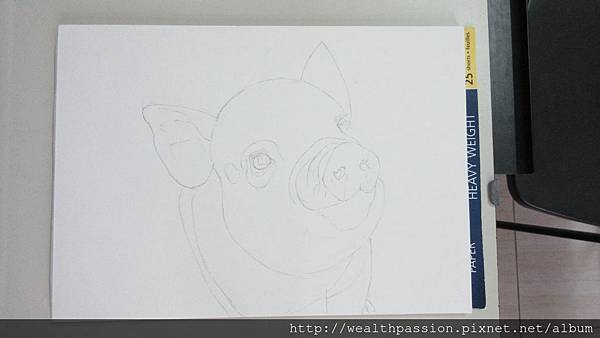 pig (1).JPG