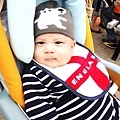 08DSC00476.jpg
