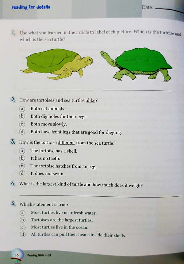 Scholastic Learning Express系列教材 閱讀 文法 數學 字彙 自然發音練習活動手冊 鏞鏞甫甫親子部落格 陳瑜 痞客邦