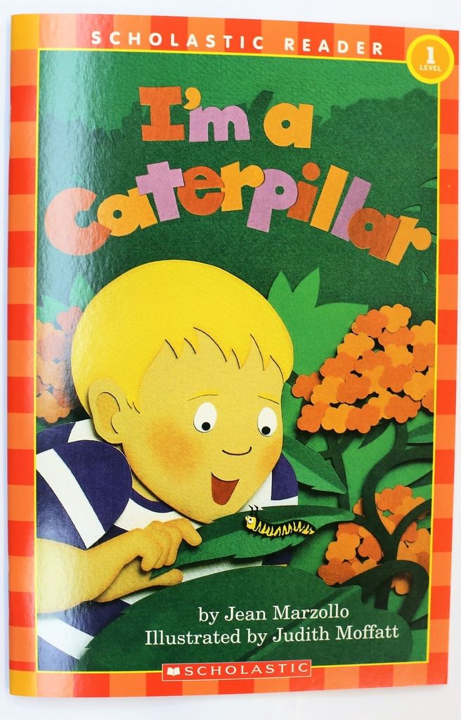 19.jpg 19.jpg