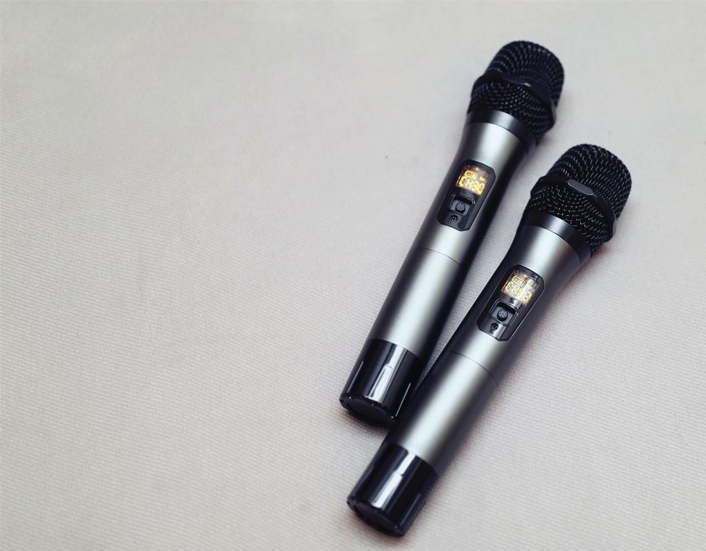 金嗓 (11).jpg 金嗓 (11).jpg