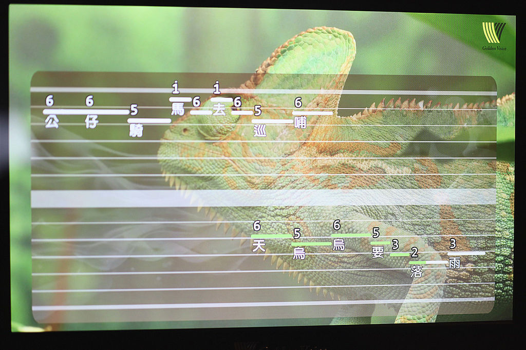 金嗓 (17).jpg 金嗓 (17).jpg