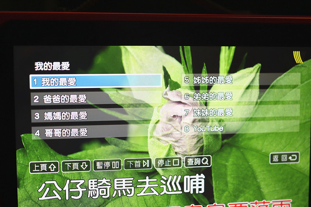 金嗓 (18).jpg 金嗓 (18).jpg