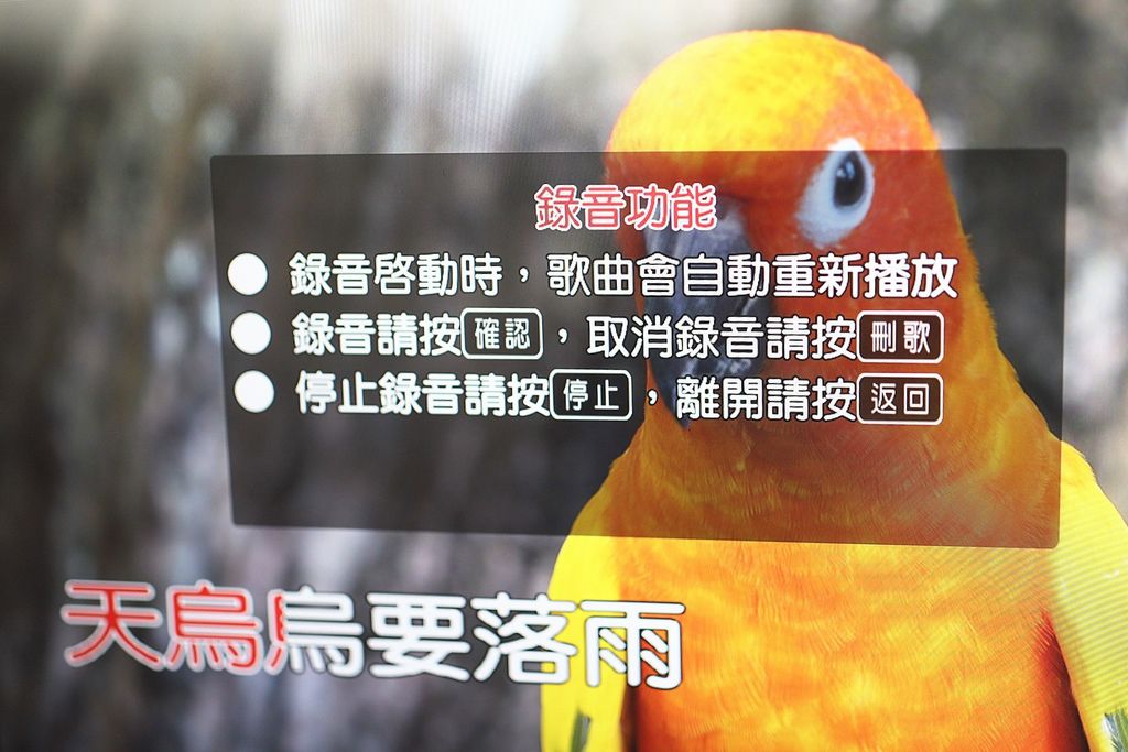 金嗓 (14).jpg 金嗓 (14).jpg