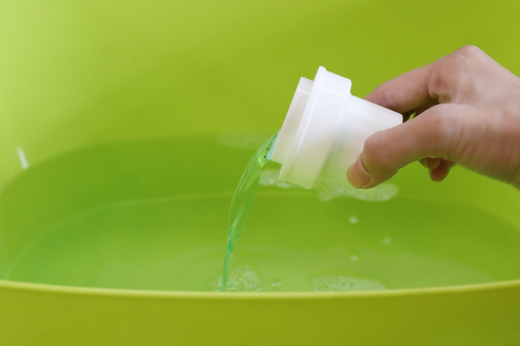 綠大師 (4).jpg 綠大師 (4).jpg