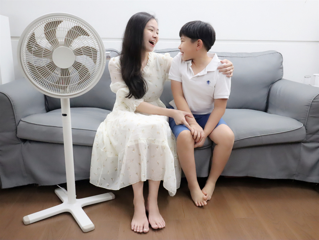 像家人般存在的風扇【日本 KamomeFan】海鷗羽翼扇葉.