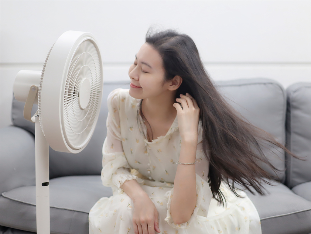 像家人般存在的風扇【日本 KamomeFan】海鷗羽翼扇葉.